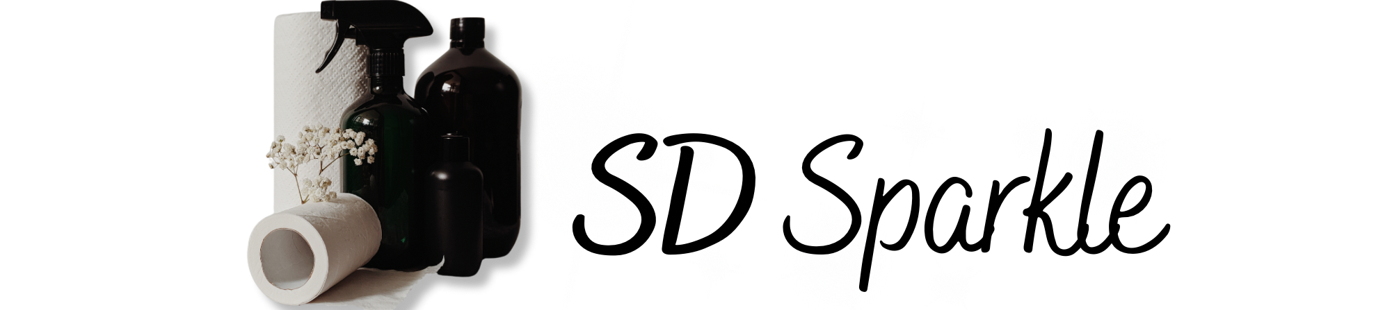 SD Sparkle Logo